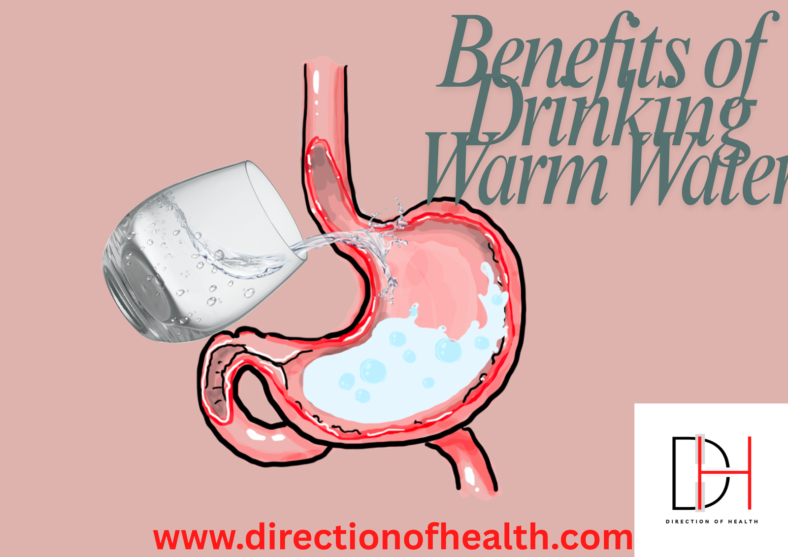 Drinking Warm Water on Empty Stomach