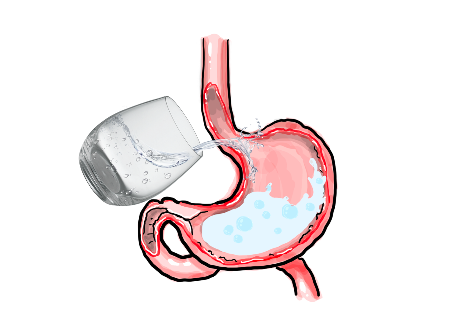 Drinking Warm Water on Empty Stomach