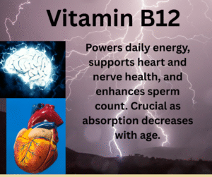 function of vitamin B12 for men