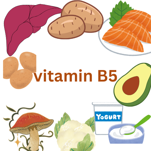 Vitamin B5 (Pantothenic Acid): A Complete Guide to Its Benefits, Sources & More