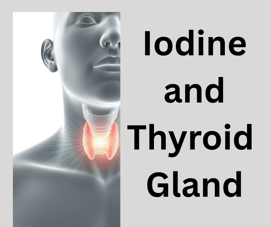 Iodine and Thyroid Gland